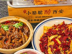 -福苗小骆驼烧烤(曲江店)