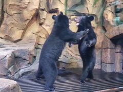 -波塞冬旅游度假区