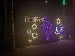 -枫花园汽车电影院(朝阳公园店)