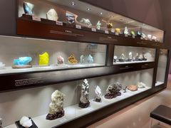 -陕西自然博物馆