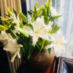 -禾颜社·精致美容