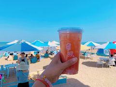 -日照海滨国家森林公园