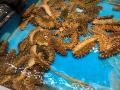 -万宝海鲜舫(劳动公园店)