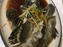 -琼大师东方烤乳猪(亚特兰蒂斯店)