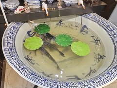 -南京金牛湖巨碗鱼头