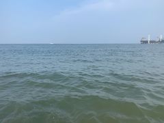 -海滨浴场