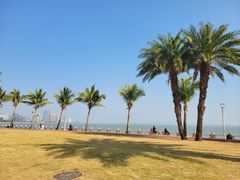 -金悦轩海鲜酒家(拱北店)