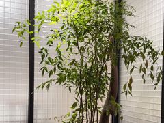 -山外山·林语花园餐厅