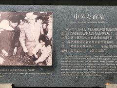 -龙井村
