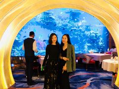 -迪拜帆船酒店海底餐厅