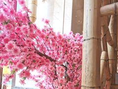 -清远恒大酒店·寻味清远