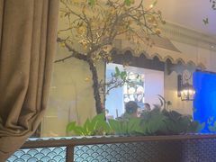 -开海·红岛海鲜虾水饺(石老人店)