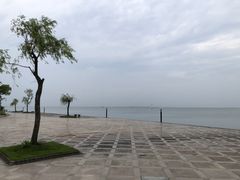 -东方绿舟景区