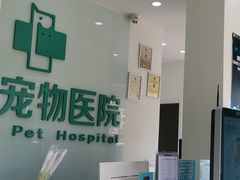 -佳雯宠物医院(信河分店)