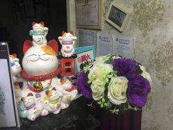 -赫本印象美容纤体