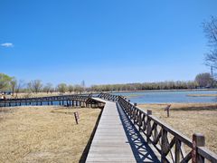 -野鸭湖国家湿地公园