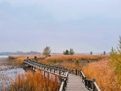 -野鸭湖国家湿地公园