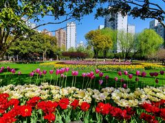 -大宁公园
