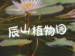 -上海辰山植物园