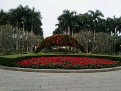 -金花茶公园