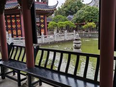 -碧江金楼