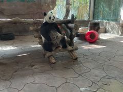 -宁波野生动物园