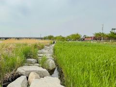-绿堤公园