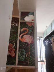 -杨益美学·野生眉半永久纹眉发际线