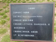 -元大都城垣遗址公园