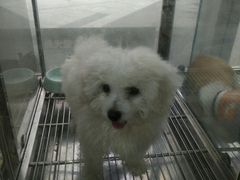 -1013 PET SHOP 宠物商店(近铁城市广场店)