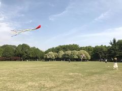 -青枫公园