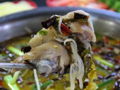 -大理.老字号渝记酸萝卜乌鱼(古城总店)
