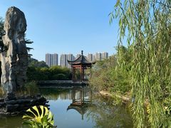 -广州神农草堂中医药博物馆