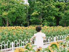 -二沙岛艺术公园