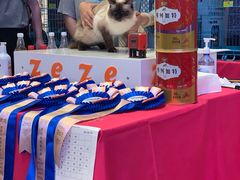-凯德广场(西城店)