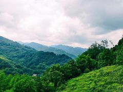 -凤栖山