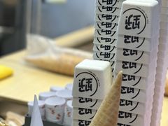 -野人先生现做冰淇淋(西安赛格店)