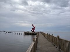 -哈素海