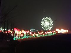 -金卉庄园
