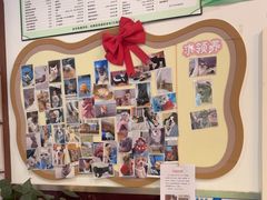 -顺强宠物诊所·狂犬免疫·夜诊·骨科(嘉定店)
