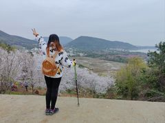 -香雪海