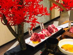 -赤坂亭M9和牛烧肉(世博源店)