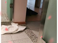 -全季酒店(郑州建设路碧沙岗地铁站店)