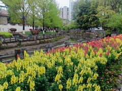 -桂湖森林公园