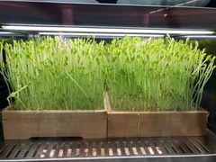 -捞王猪肚鸡火锅(金华义乌之心店)
