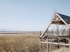 -野鸭湖国家湿地公园