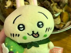-恩你小木屋·韩式料理(假日广场店)