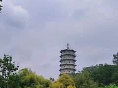 -深圳国际园林花卉博览园