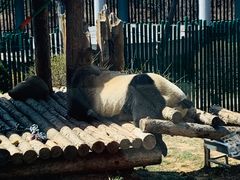 -大连森林动物园