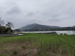 -长广溪湿地公园